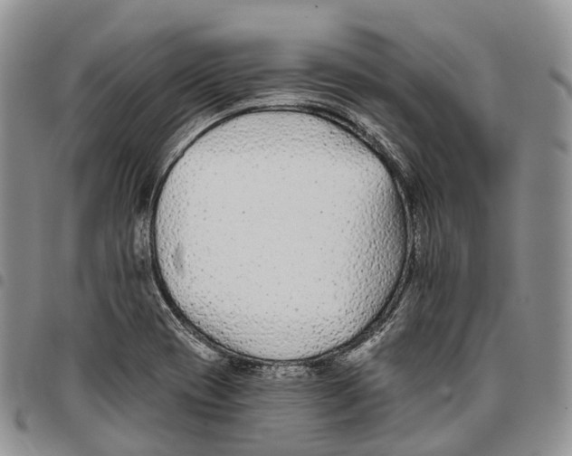 X0000096711417200803041332