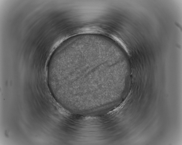 X0000096711419200803041332