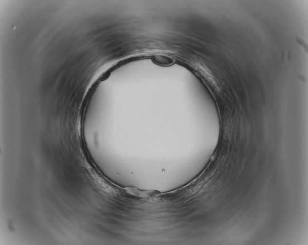 X0000096711420200803041332