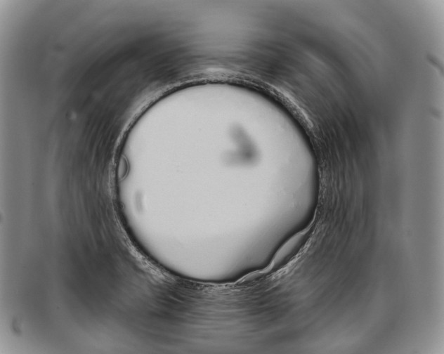 X0000096711421200803041332