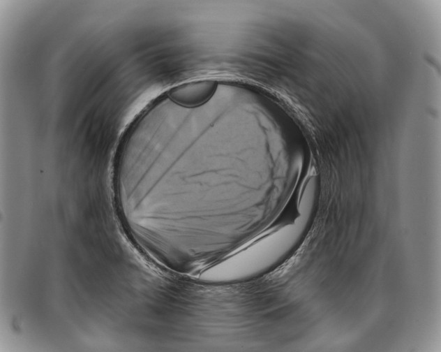 X0000096711422200803041332