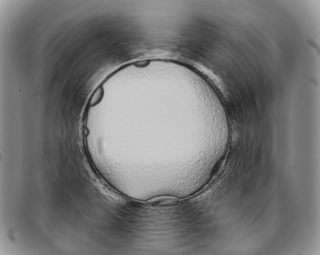 X0000096711423200803041332