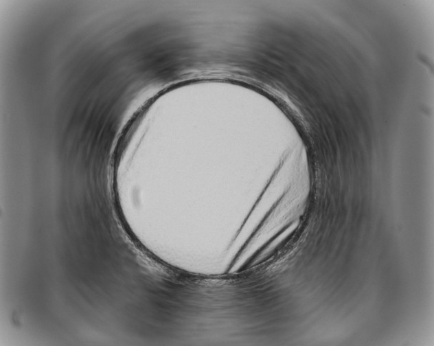 X0000096711424200803041332