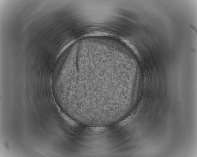 X0000096711425200803041332