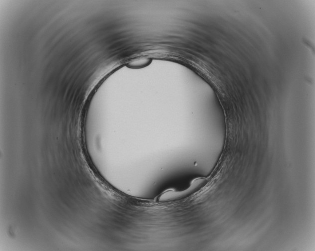 X0000096711426200803041332