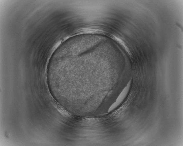 X0000096711427200803041332