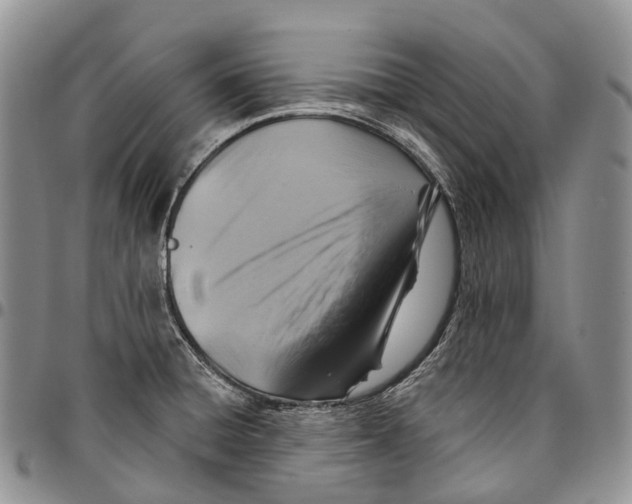 X0000096711428200803041332