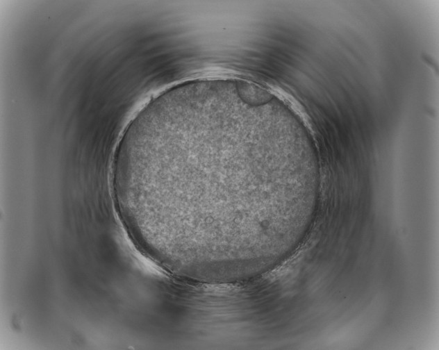 X0000096711429200803041332