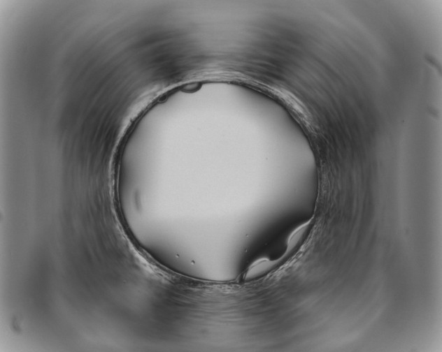 X0000096711430200803041332