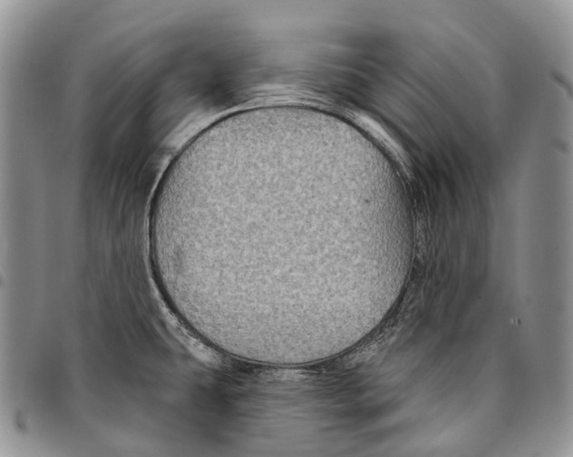 X0000096711431200803041332