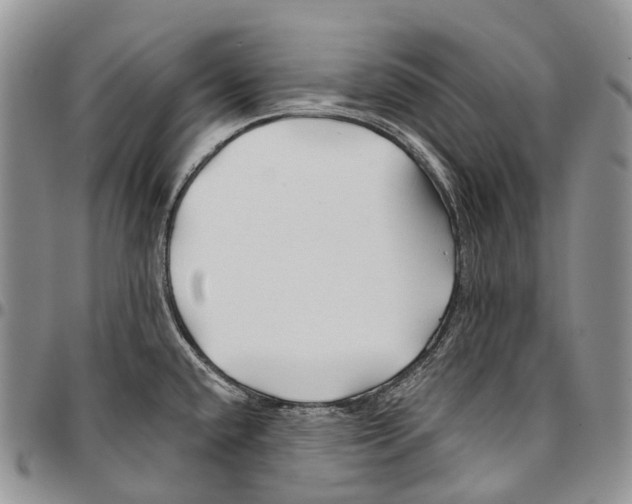 X0000096711432200803041332