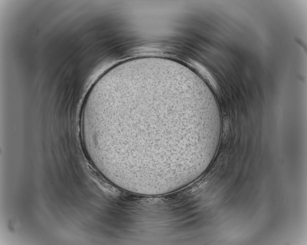 X0000096711435200803041332