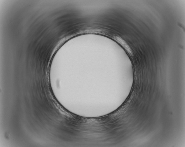 X0000096711436200803041332