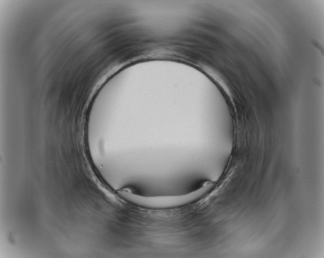 X0000096711437200803041332