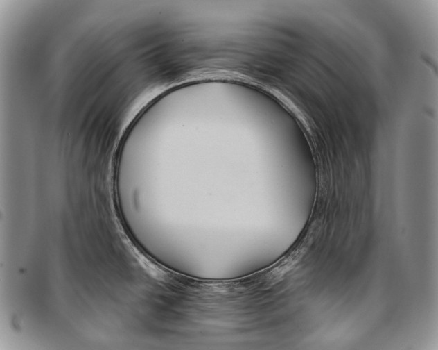 X0000096711438200803041332