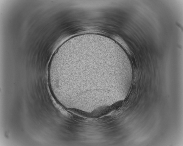 X0000096711439200803041332