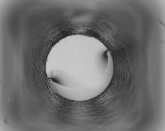 X0000096711441200803041332