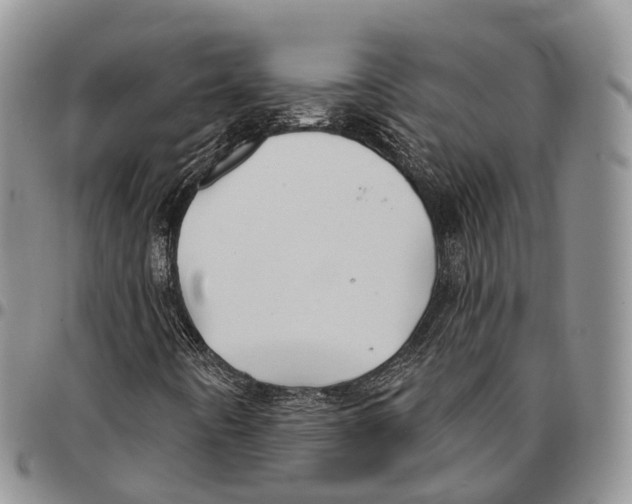 X0000096711442200803041332