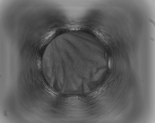 X0000096711444200803041331