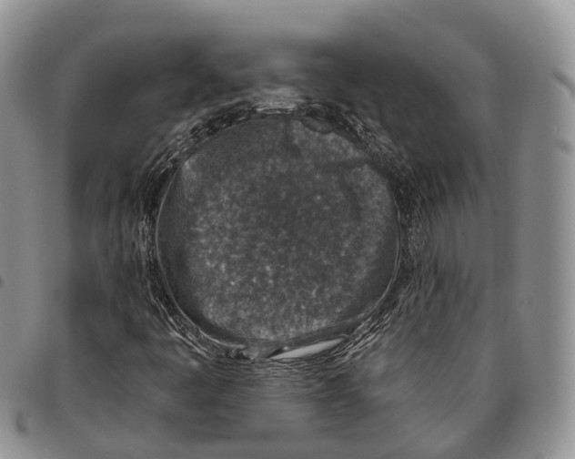 X0000096711445200803041331