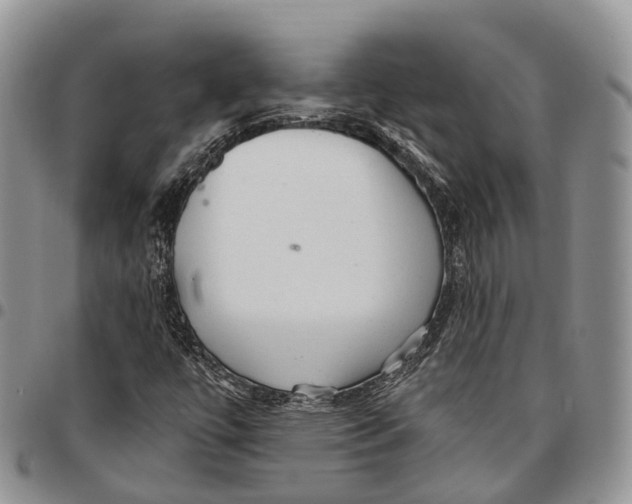 X0000096711447200803041331