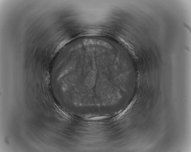 X0000096711449200803041331