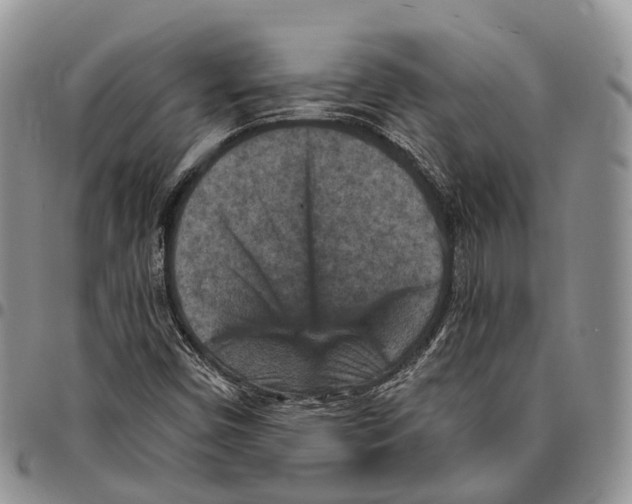 X0000096711450200803041331