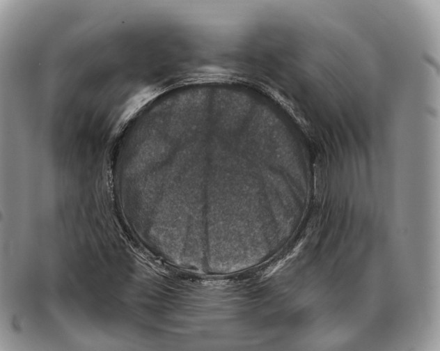 X0000096711453200803041331