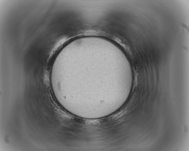 X0000096711454200803041331