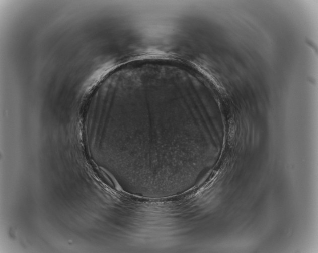 X0000096711455200803041331