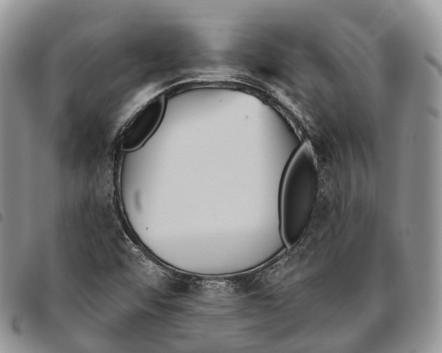 X0000096711456200803041331