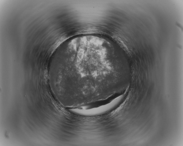 X0000096711457200803041331