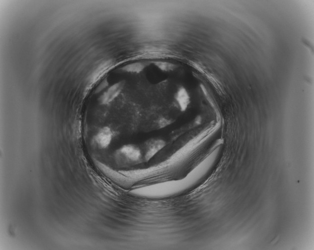 X0000096711459200803041331