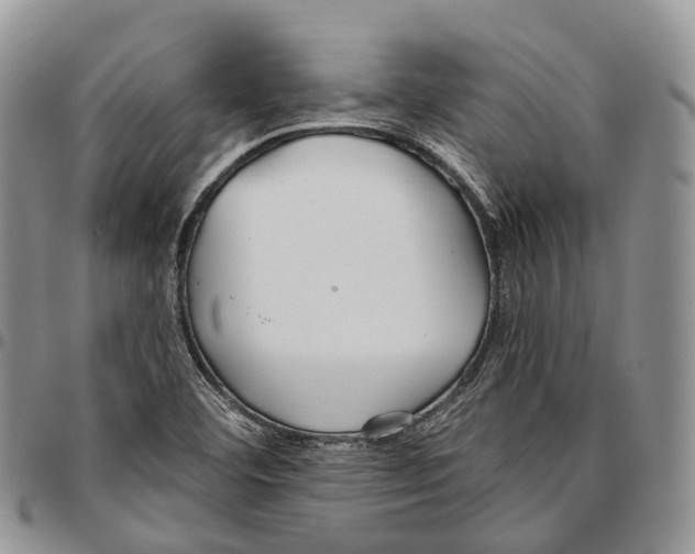 X0000096711460200803041331