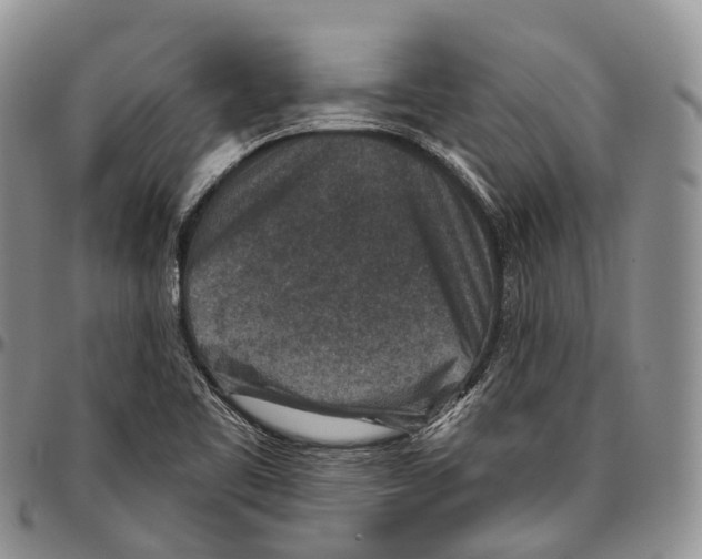 X0000096711461200803041331