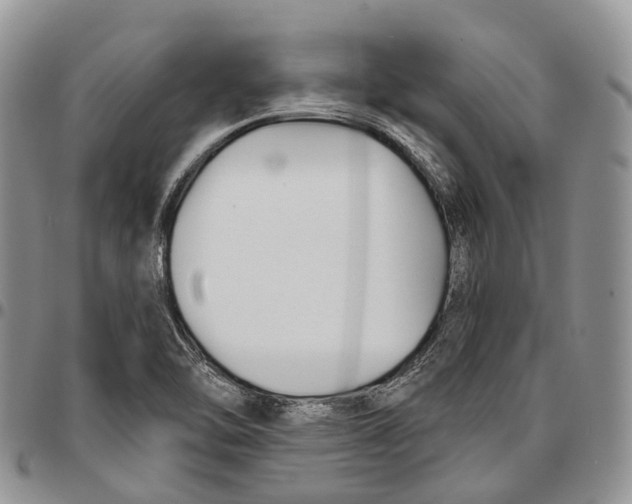 X0000096711462200803041331