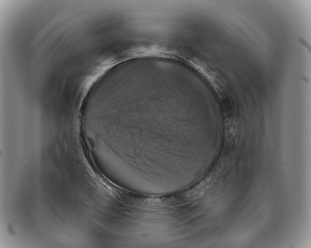 X0000096711463200803041331