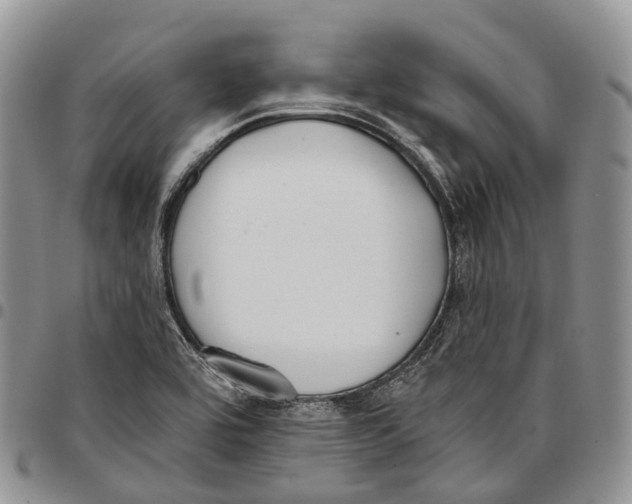 X0000096711464200803041331