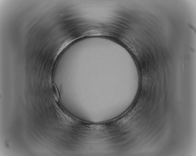 X0000096711465200803041331