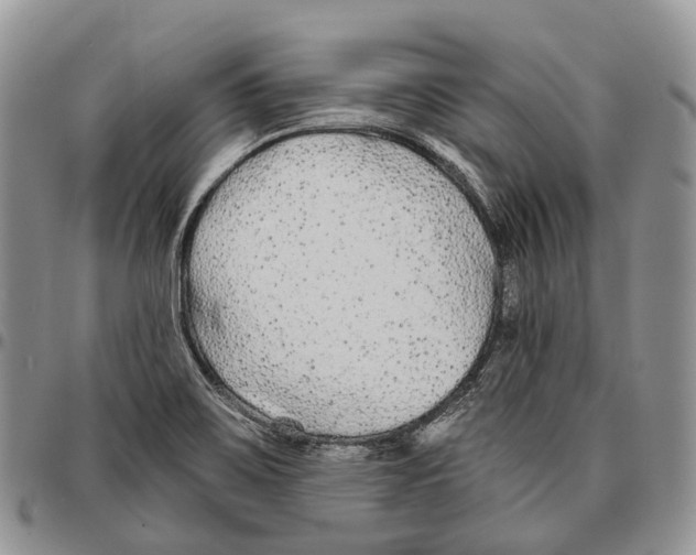 X0000096711467200803041331