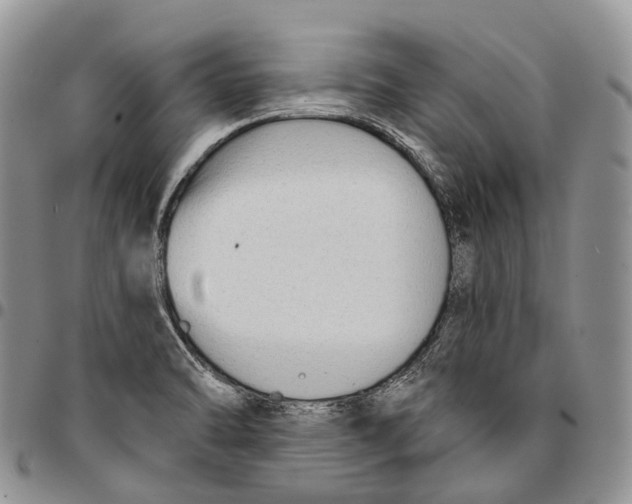 X0000096711470200803041331