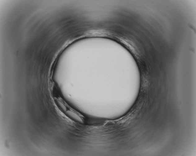 X0000096711471200803041331