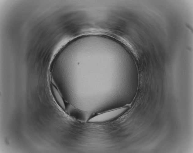 X0000096711472200803041331