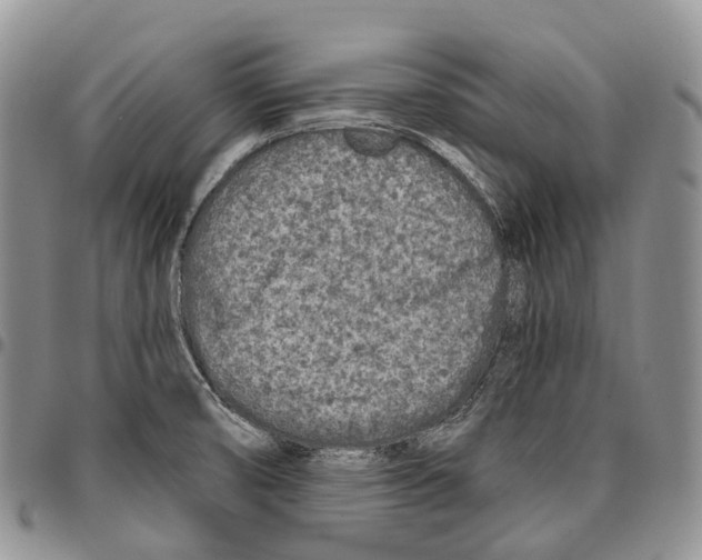 X0000096711474200803041331