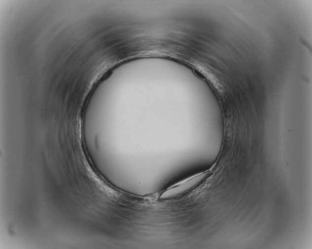 X0000096711476200803041331