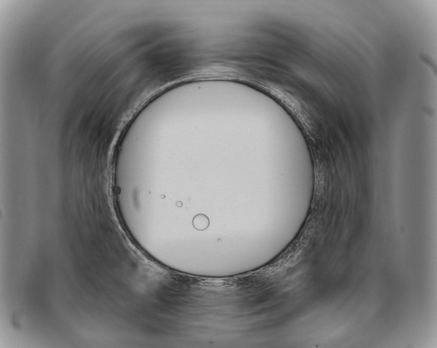 X0000096711478200803041331