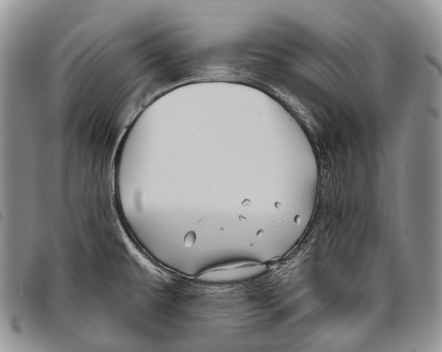 X0000096711479200803041331