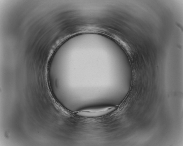 X0000096711480200803041331