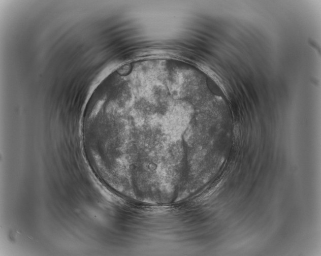 X0000096711482200803041331