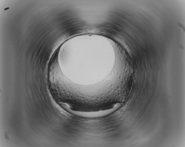 X0000096711483200803041331